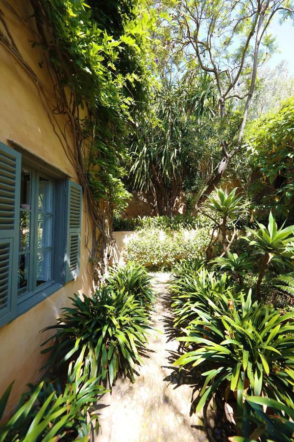 Mimi Calpe Bed and Breakfast Ταγγέρη Εξωτερικό φωτογραφία