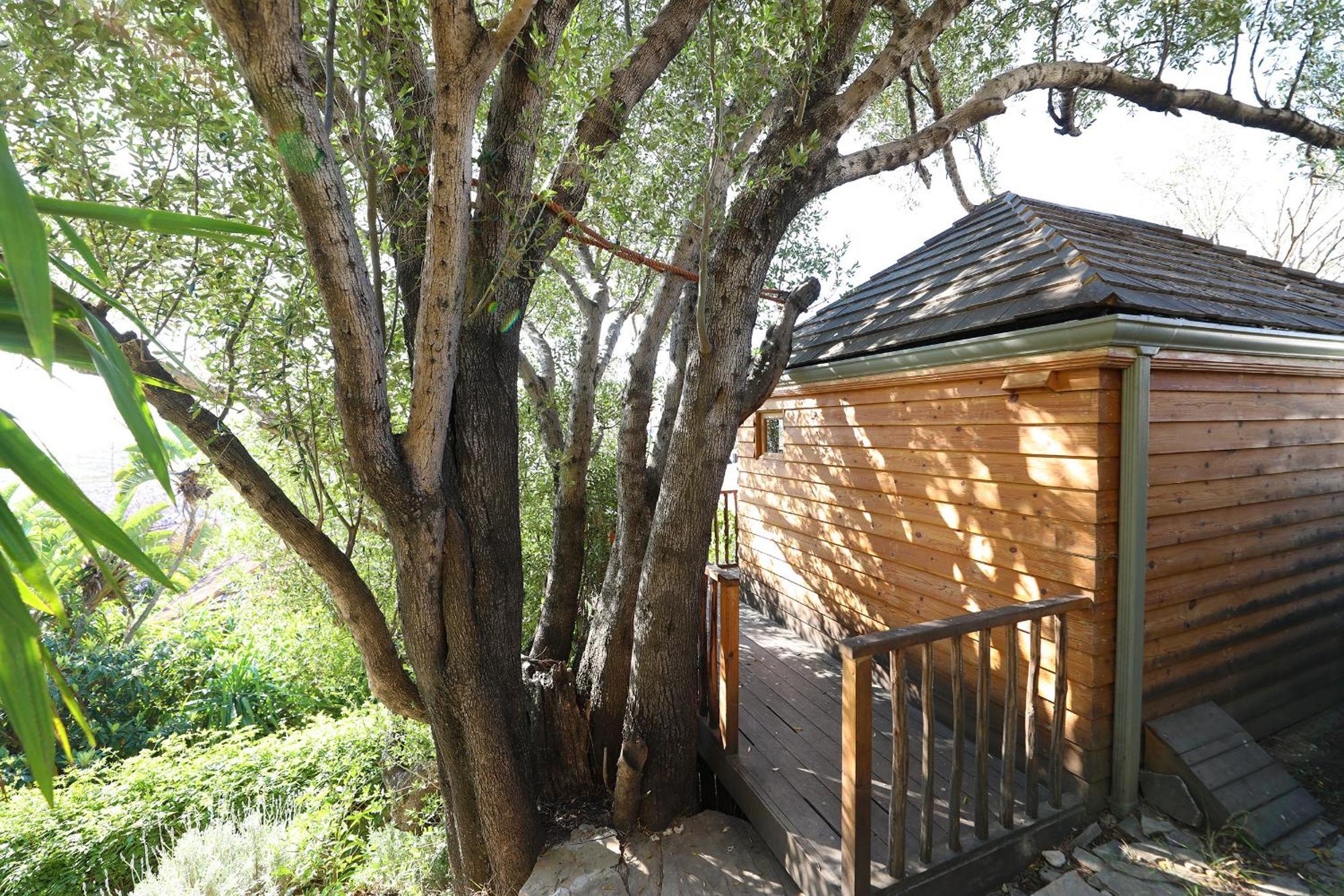 Mimi Calpe Bed and Breakfast Ταγγέρη Δωμάτιο φωτογραφία
